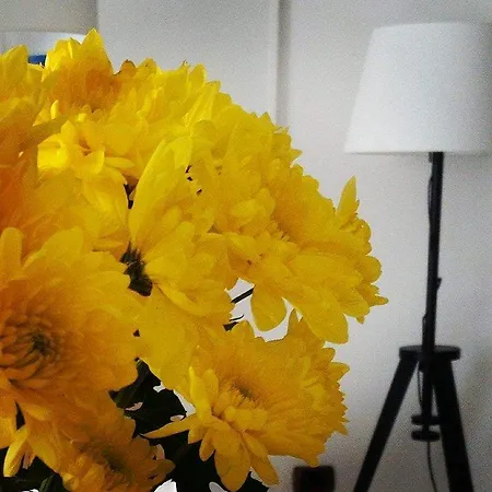 Casa Armonia Bed & Breakfast